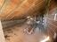 Immagine 17