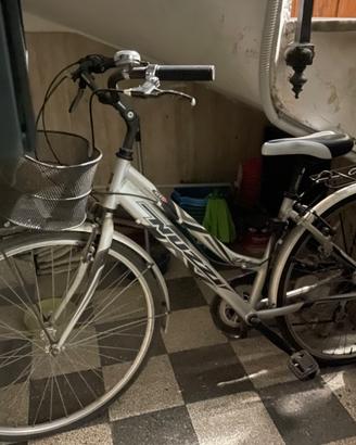 Bicicletta Nuzzi