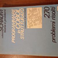 Programmare in COBOL