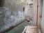 Immagine 8