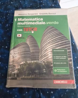 matematica multimediale.verde vol 1