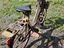 Immagine 6