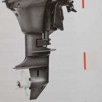 Motore fuoribordo selva ray 8 cv gambo corto