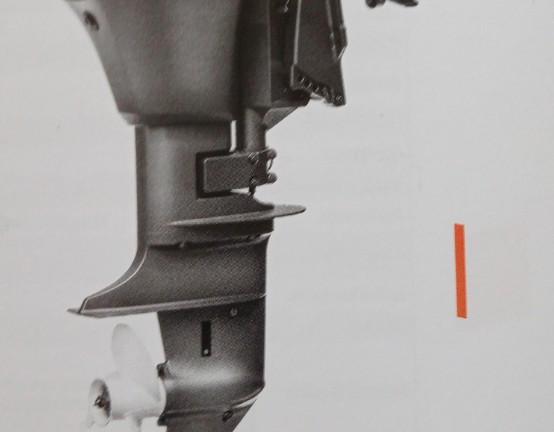 Motore fuoribordo selva ray 8 cv gambo corto