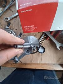 albero polini racing 