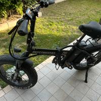 Fat bike bottecchia elettrica