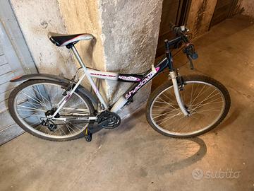 Bicicletta da Adulto con marce
