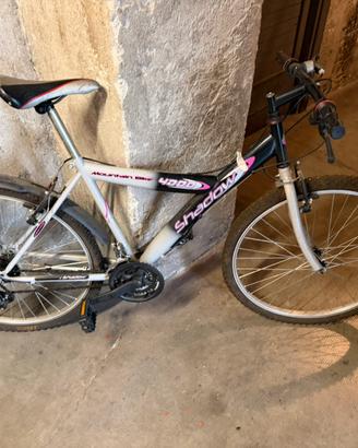 Bicicletta da Adulto con marce