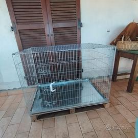gabbia x cani di grossa taglia 