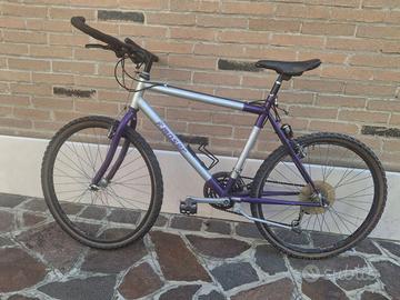 Bici Moser da uomo
