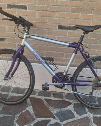 Bici Moser da uomo