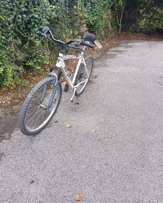 MTB Esperia