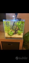 Acquario vasca 30x30x30 completo di accessori