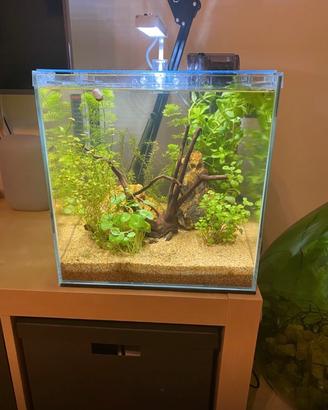 Acquario vasca 30x30x30 completo di accessori