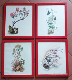 Quadri le 4 stagioni cm 28 x 33,5 cm h