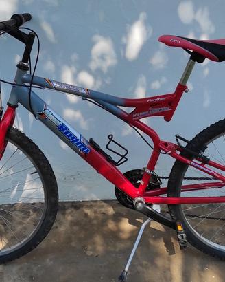 Mountain bike per principianti 