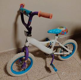 Bicicletta
