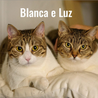 Luz e blanca
