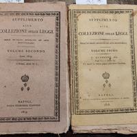 Libri antichi 1818-1819 Collezione delle Leggi