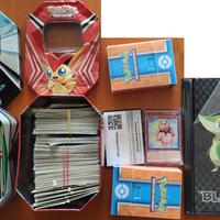 Carte e custodie Pokemon