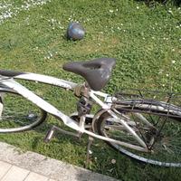 Bicicletta