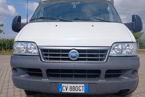 camper arca