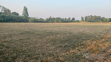 Terreno agricolo 6000 mq²