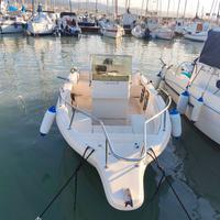 Mingolla fisherman 20 + Mercury 40 CV pro