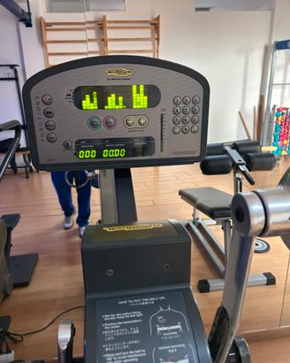 Cyclette Technogym