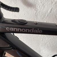 Bici da corsa elettrica