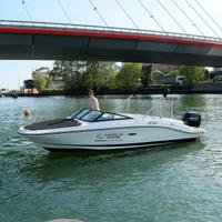 SeaRay SPX 210+MERCURY 150 CV
