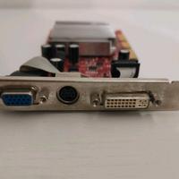 SCHEDA GRAFICA AGP - VGA- DVI