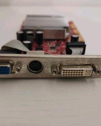 SCHEDA GRAFICA AGP - VGA- DVI