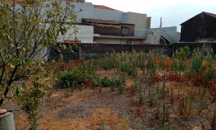 Terreno EDIFICABILE Misterbianco centro