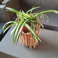 Portapiante in legno bruciato