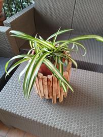 Portapiante in legno bruciato