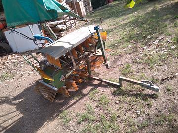 Scopatrice per nocciole