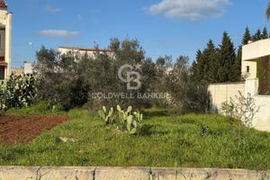 Terreno Edificabile - Soleto