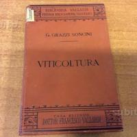 Viticoltura Vallardi 1903
