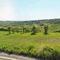 Vendita terreno agricolo