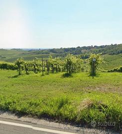 Vendita terreno agricolo