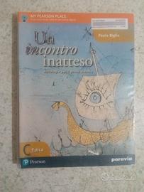 Un incontro inatteso