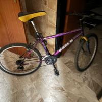 MTB BICICLETTA eagle