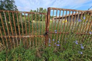 Immobile in asta di 560 m² con più di 5 locali a N