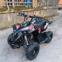 MINI QUAD 50cc 2 TEMPI RUOTE 6"