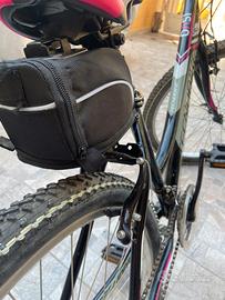 Bici da passeggio