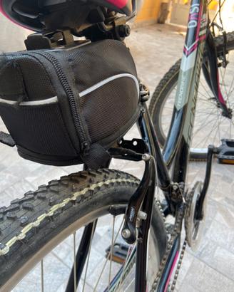 Bici da passeggio