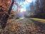 Immagine 14
