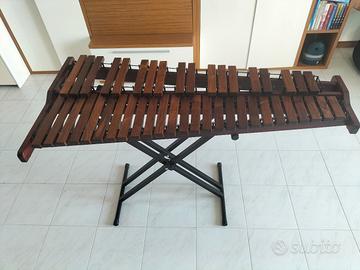 strumenti musicali - Xilofono/Vibrafono