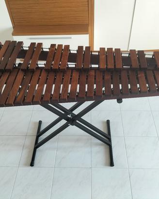 strumenti musicali - Xilofono/Vibrafono